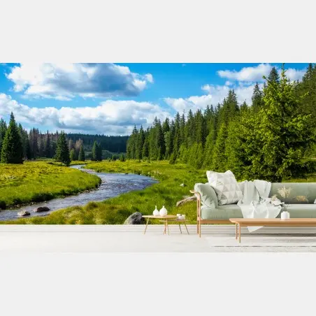Fotomural paisaje de río y bosque en verano – Pixers®