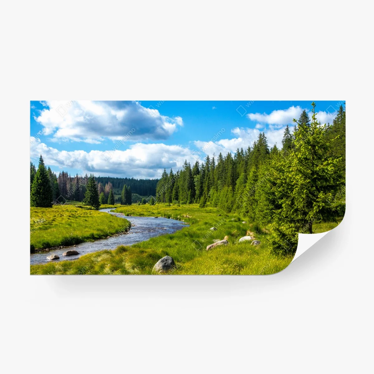 Fotomural paisaje de río y bosque en verano – Pixers®
