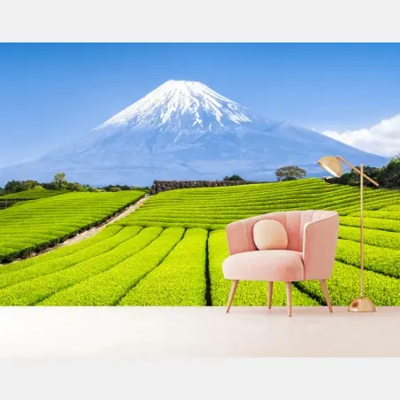 Fotomural paisaje de campos de té con Monte Fuji al fondo – Pixers®