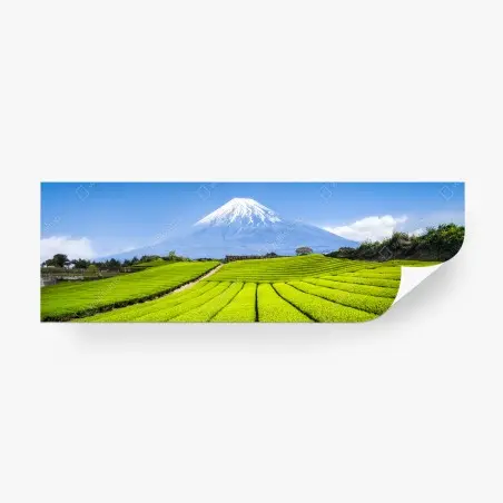 Fotomural paisaje de campos de té con Monte Fuji al fondo – Pixers®