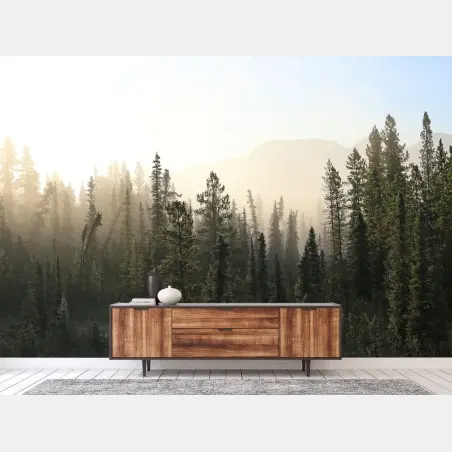 Fotomural amanecer entre pinos y niebla – Pixers®