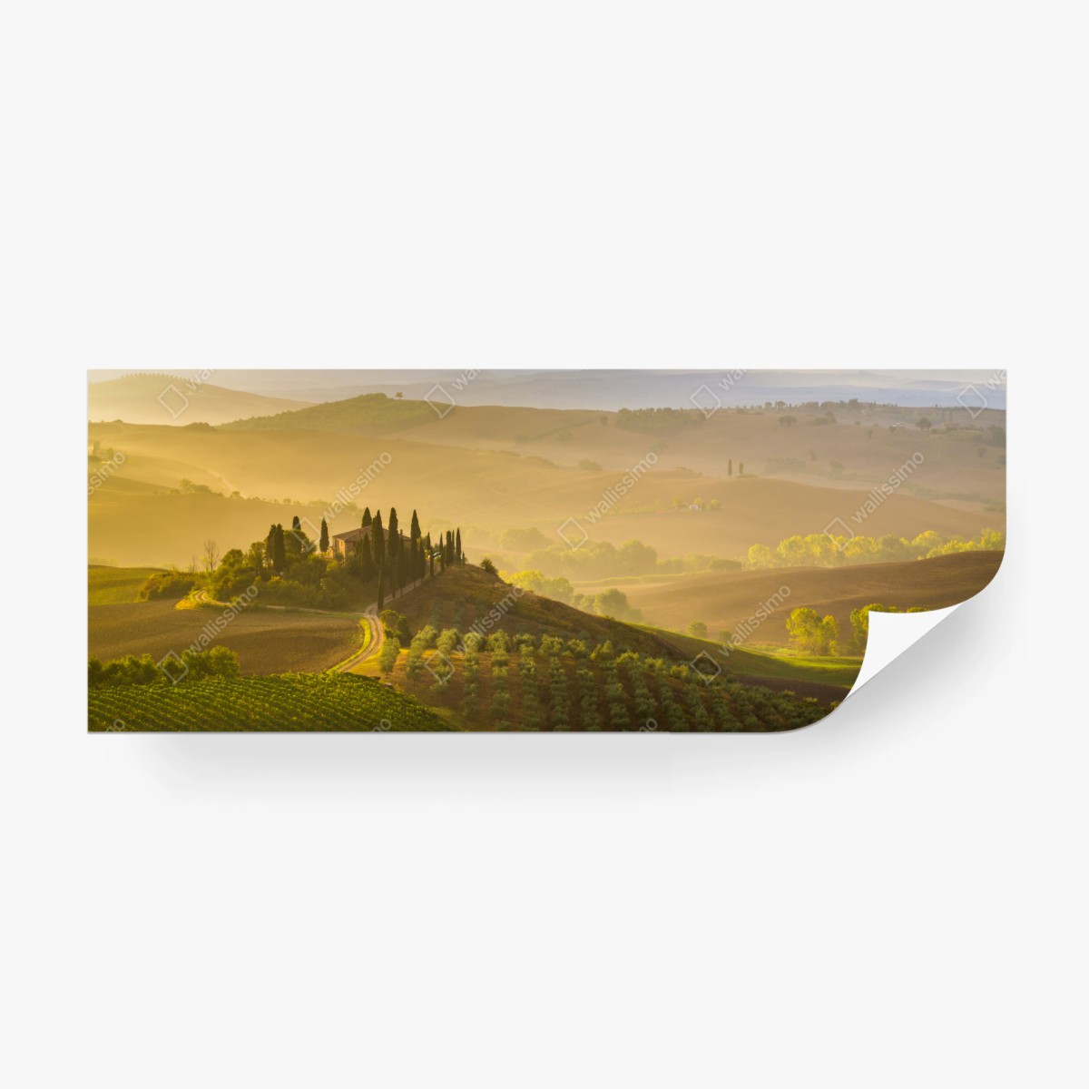 Fotomural amanecer dorado en Val d'Orcia, Toscana – Pixers®