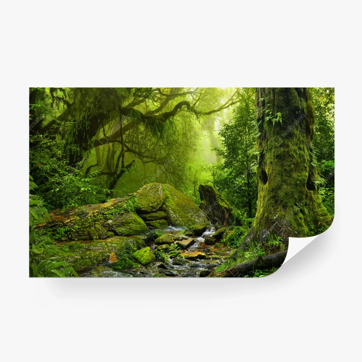 Fotomural refugio verde en el bosque – Pixers®