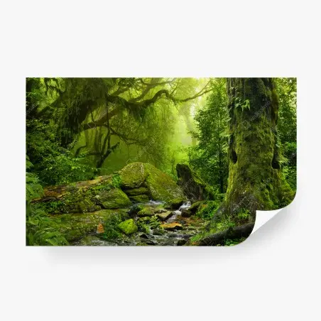 Fotomural refugio verde en el bosque – Pixers®
