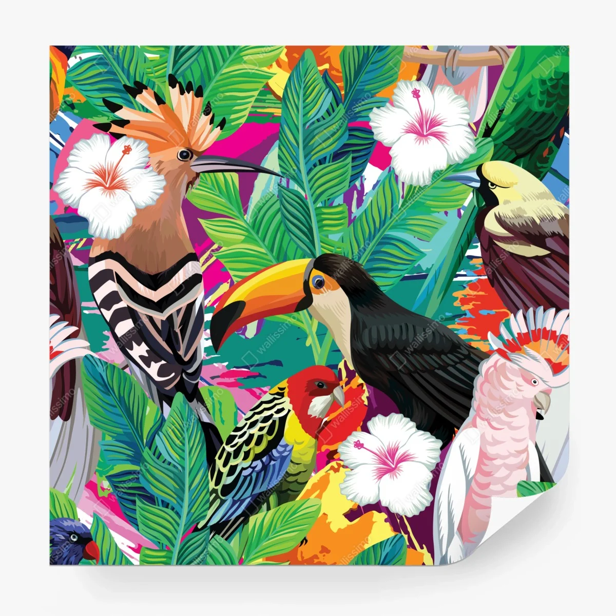 Fotomural selva de aves tropicales en colores vivos – Pixers®