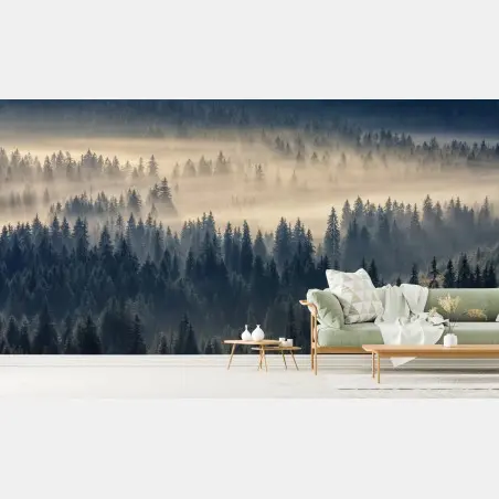 Fotomural valle de abetos en niebla iluminada – Pixers®