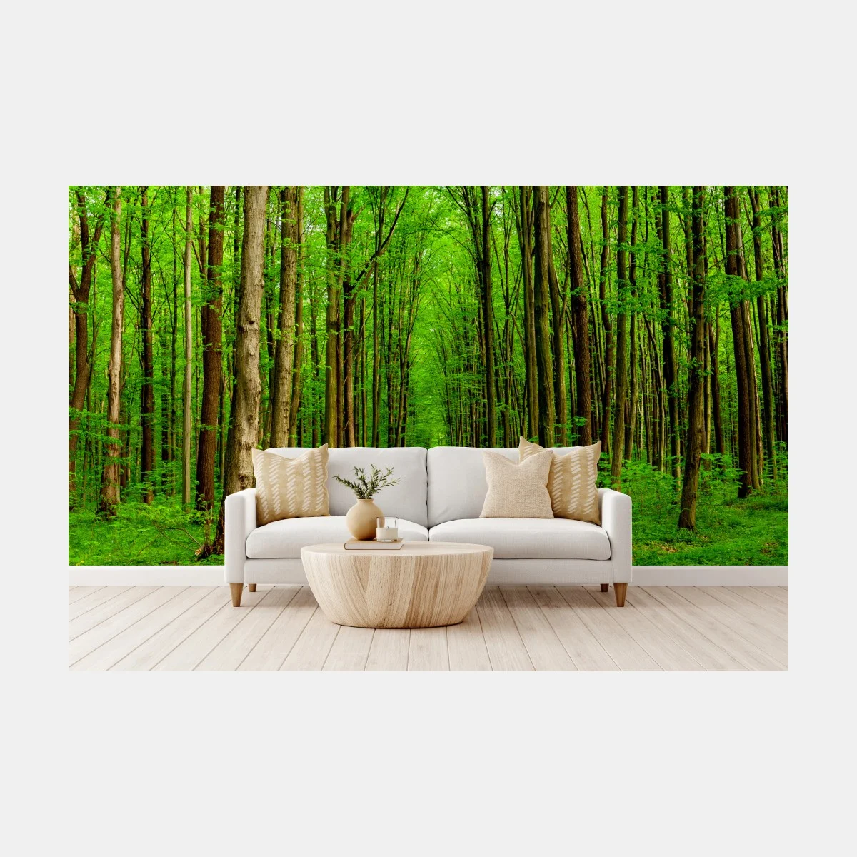 Fotomural sendero entre árboles en bosque primaveral – Pixers® Fotomural sendero entre árboles en bosque primaveral – Pixers®