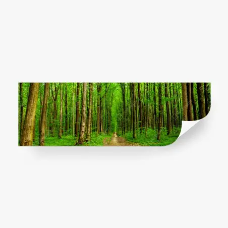 Fotomural sendero entre árboles en bosque primaveral – Pixers®