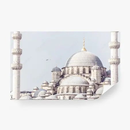 Fotomural panorama arquitectónico de la mezquita de Estambul – Pixers®