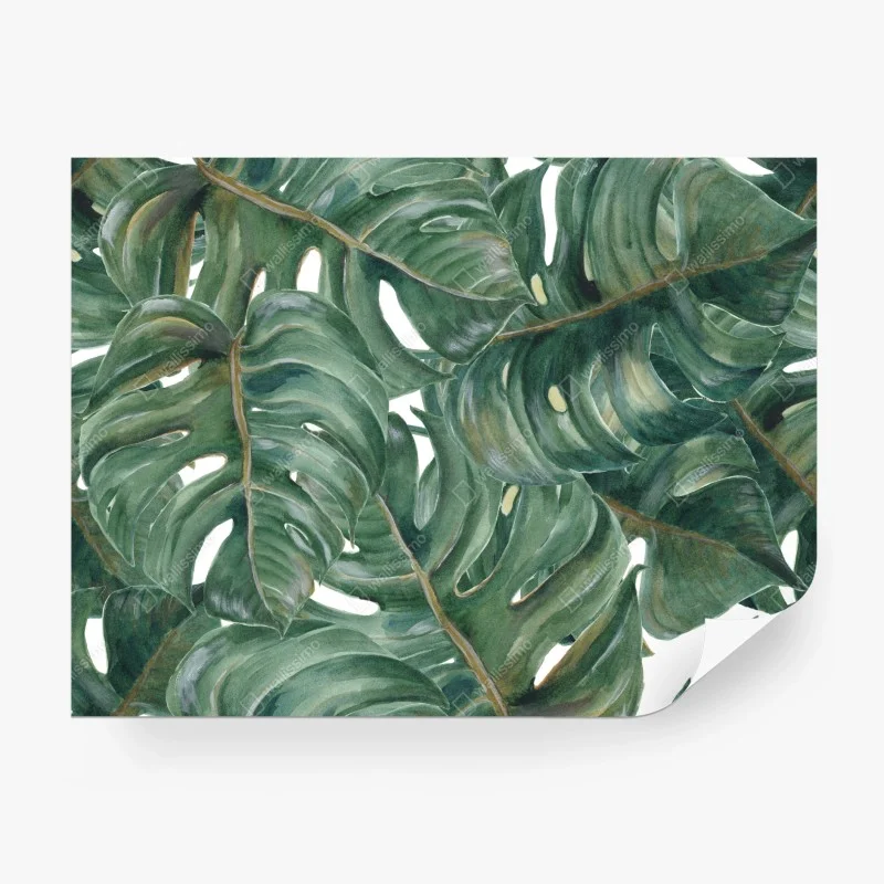 Fotomural follaje tropical de hojas de monstera