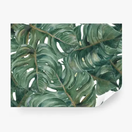 Fotomural follaje tropical de hojas de monstera – Pixers®
