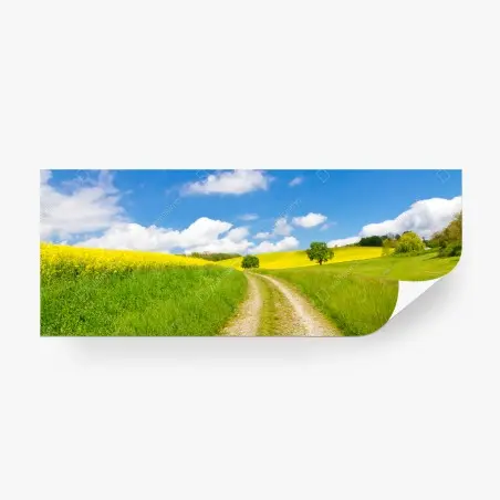 Fotomural camino entre prados amarillos y cielo azul – Pixers®