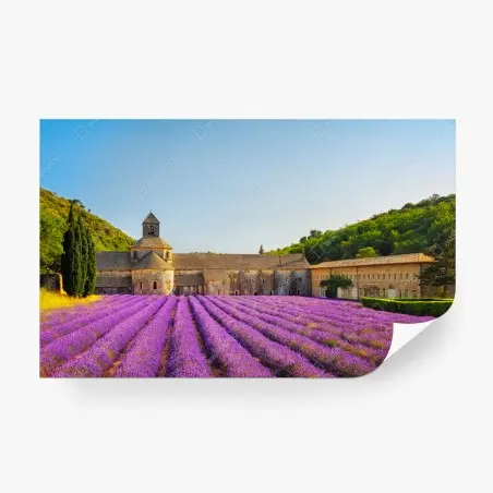 Fotomural amanecer en la Abadía de Sénanque con campos de lavanda – Pixers®