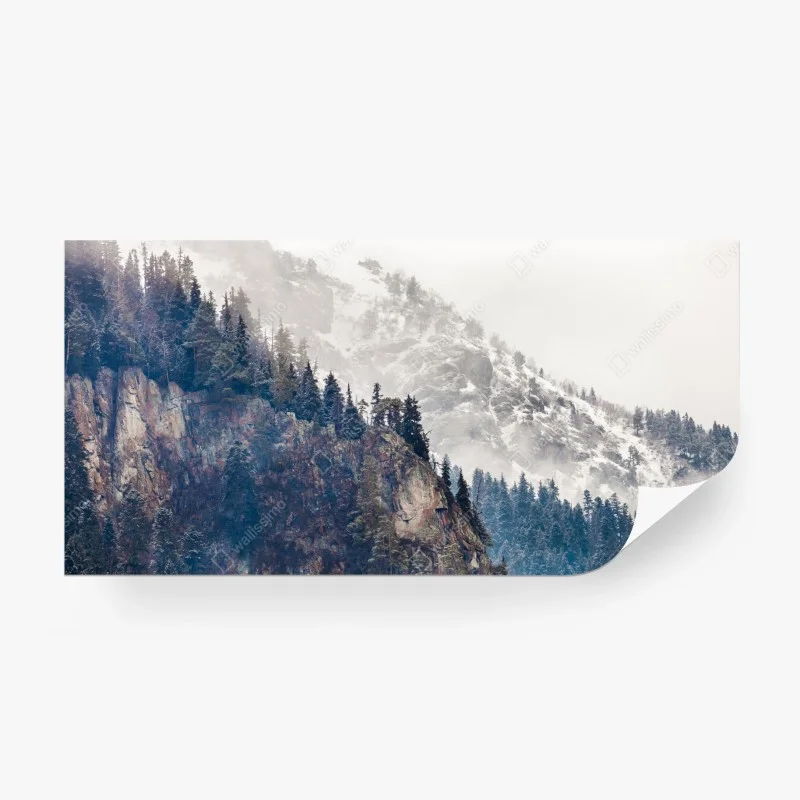 Fotomural acantilado nevado y bosque de pinos