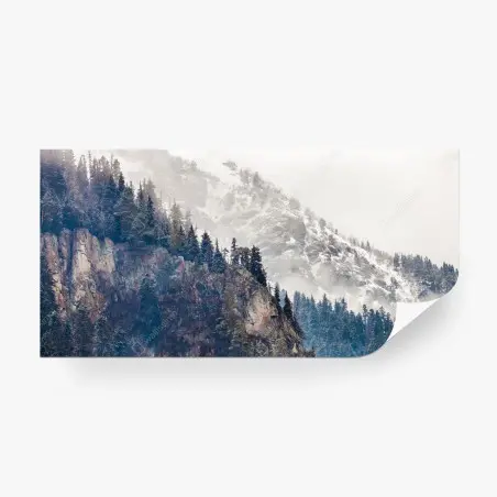 Fotomural acantilado nevado y bosque de pinos – Pixers®