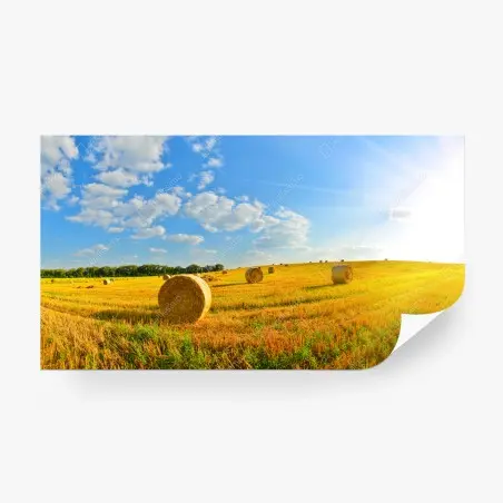 Fotomural puesta de sol en el campo con pacas de heno – Pixers®
