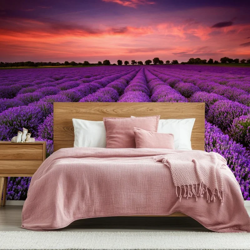 Fotomural campo de lavanda al atardecer