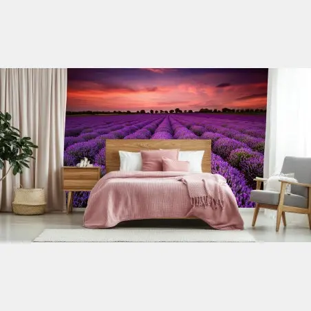 Fotomural campo de lavanda al atardecer – Pixers®
