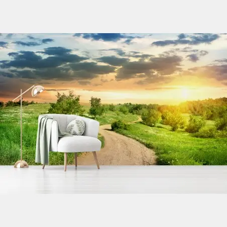 Fotomural camino al atardecer en campo primaveral – Pixers®