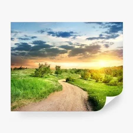 Fotomural camino al atardecer en campo primaveral – Pixers®