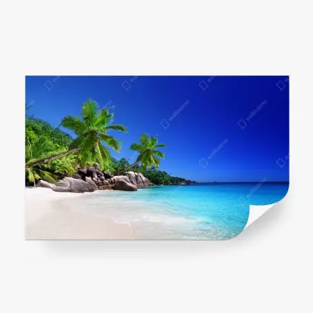 Fotomural playa tropical con palmeras y aguas turquesas – Pixers®