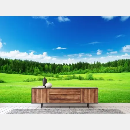 Fotomural paisaje primaveral de pradera y bosque – Pixers®
