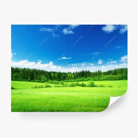 Fotomural paisaje primaveral de pradera y bosque – Pixers®