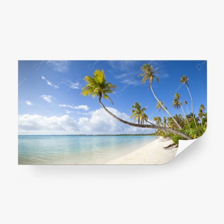 Fotomural paraíso de palmeras y mar turquesa – Pixers®