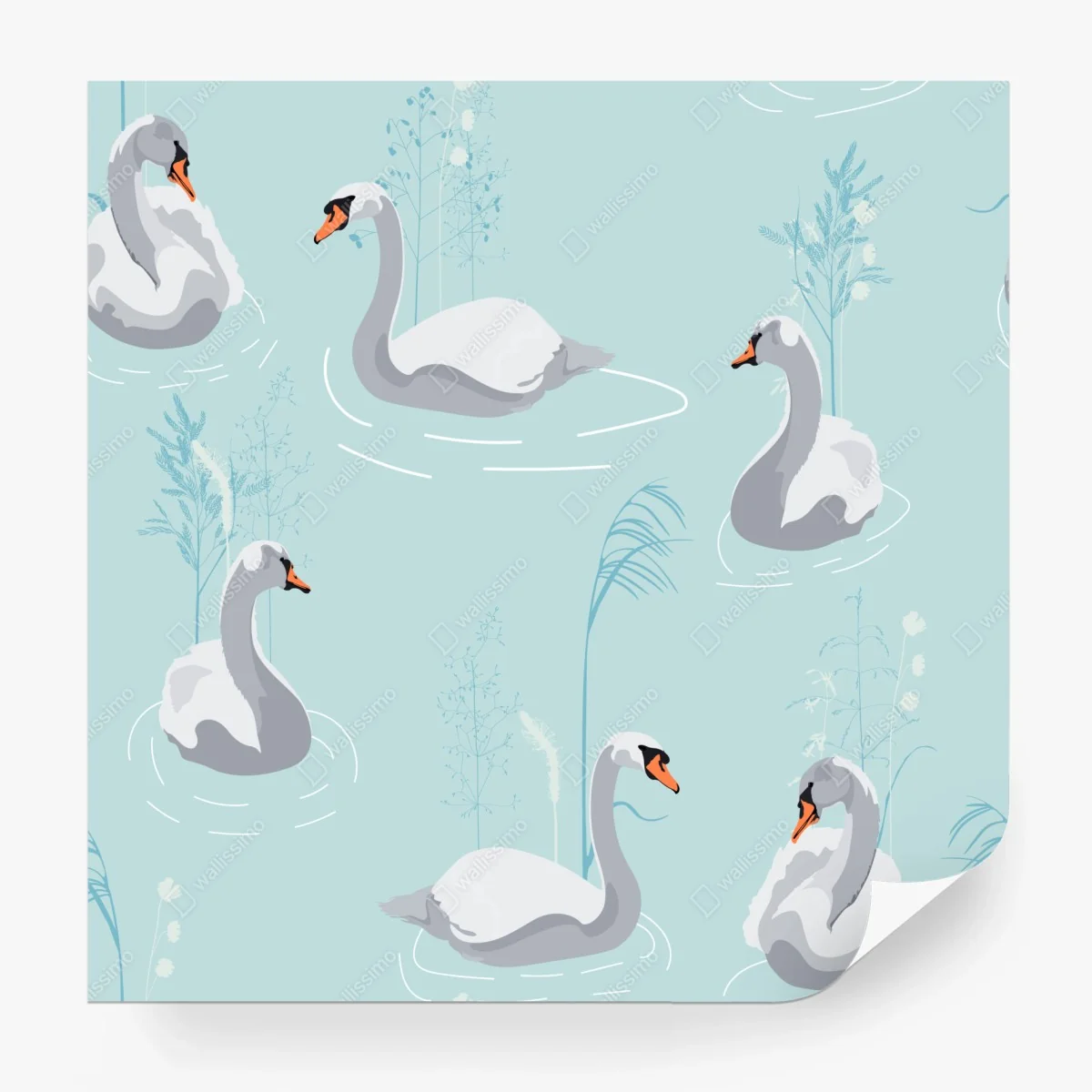Fotomural cisnes en estanque azul pastel – Pixers®