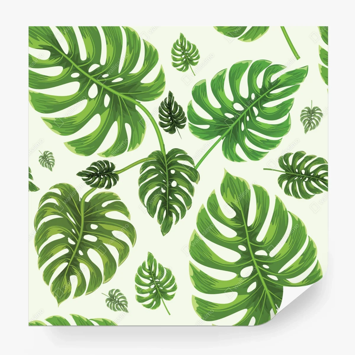 Fotomural diseño tropical de hojas de monstera – Pixers® Fotomural diseño tropical de hojas de monstera – Pixers®