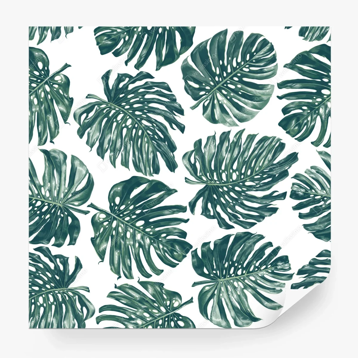 Fotomural patrón tropical de hojas de monstera en verde – Pixers® Fotomural patrón tropical de hojas de monstera en verde – Pixers®