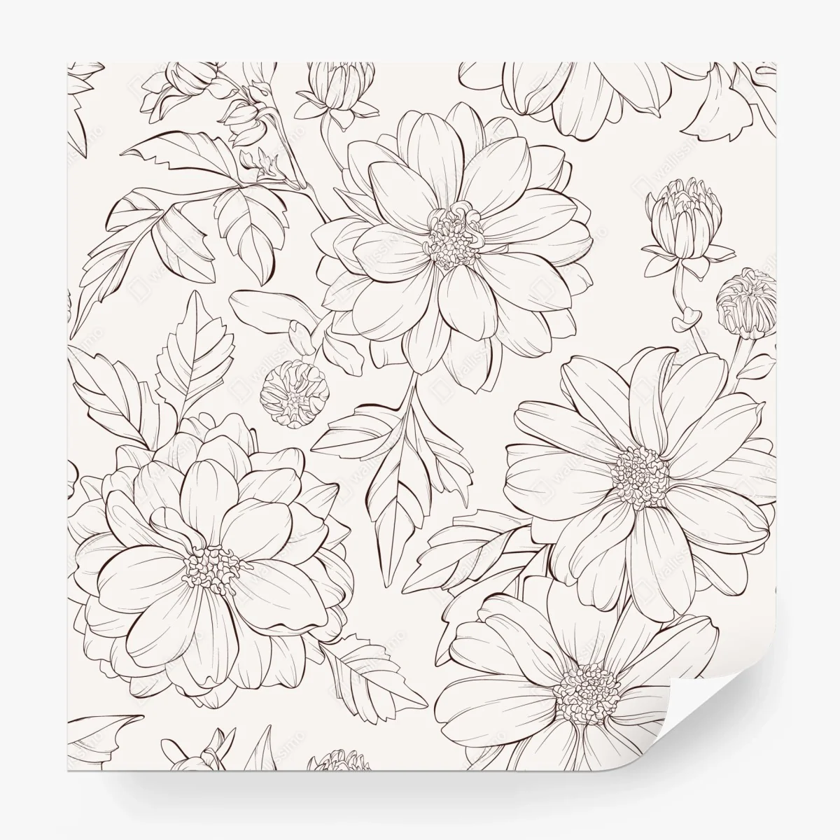 Fotomural estampado floral delicado en blanco y negro – Pixers®