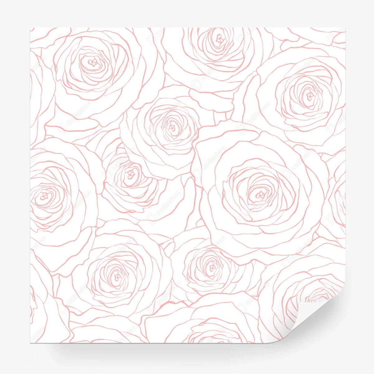 Fotomural diseño floral de rosas en contorno rosa – Pixers® Fotomural diseño floral de rosas en contorno rosa – Pixers®