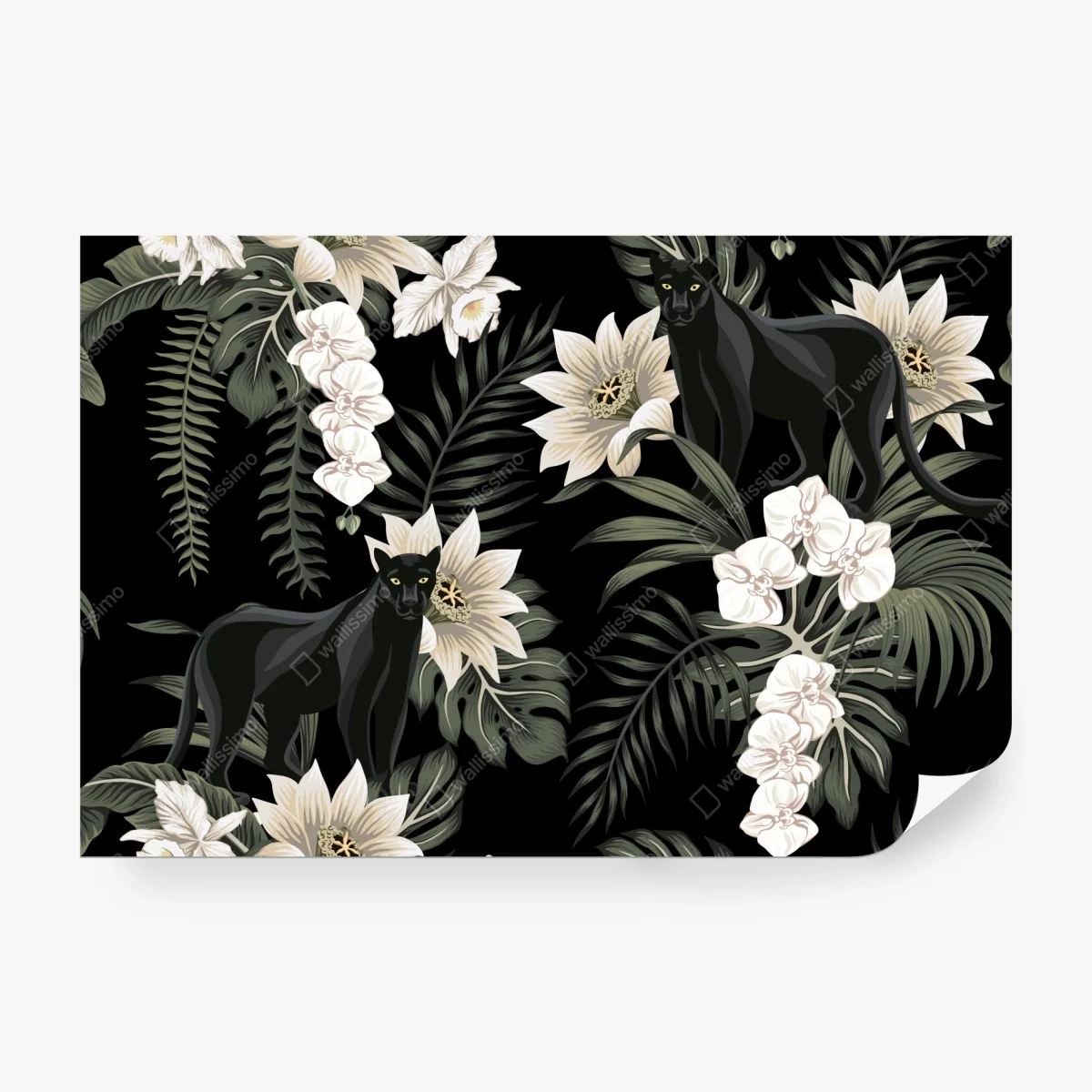 Fotomural panteras negras entre orquídeas y hojas tropicales – Pixers®