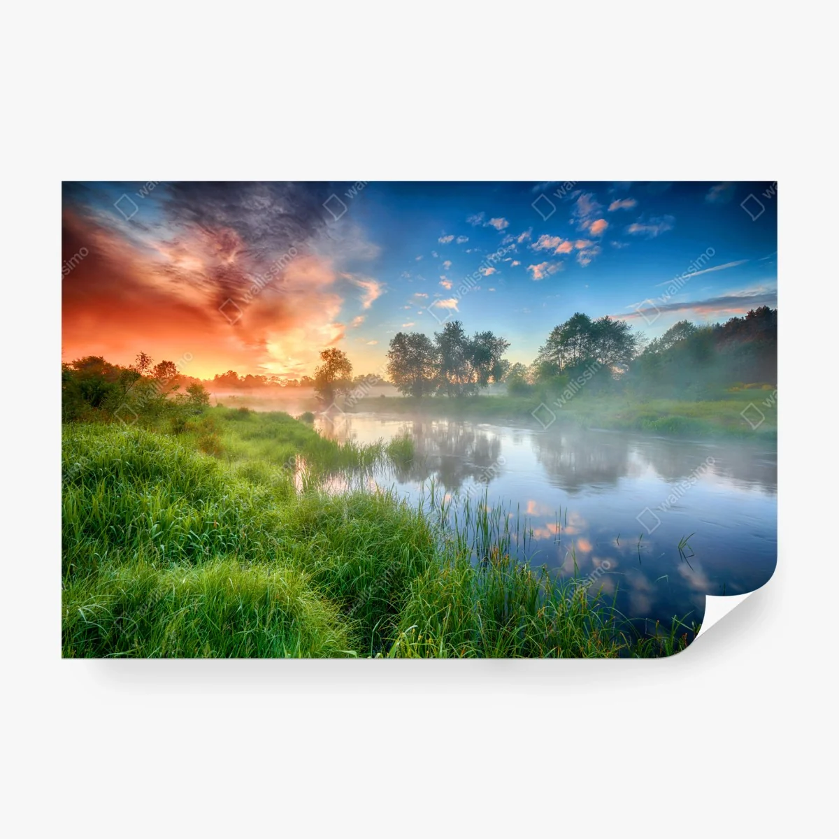 Fotomural amanecer dorado en la ribera del río – Pixers®