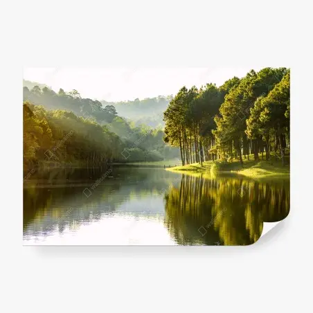 Fotomural bosque de pinos junto al embalse al amanecer – Pixers®