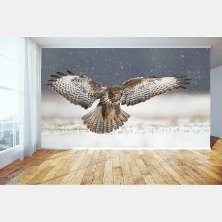 Fotomural ratonero común en vuelo sobre la nieve – Pixers®