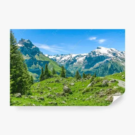 Fotomural panorama alpino en Engelberg, Suiza – Pixers®