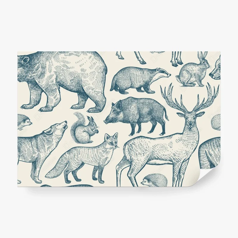 Fotomural fauna del bosque en estilo grabado vintage