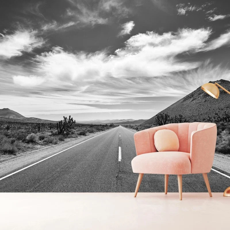 Fotomural carretera infinita en Valle de la Muerte