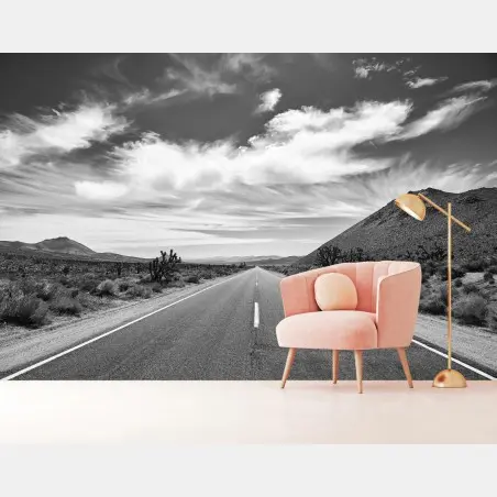Fotomural carretera infinita en Valle de la Muerte – Pixers®