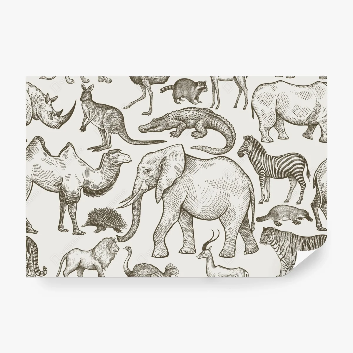 Fotomural safari ilustrado en tonos neutros – Pixers®