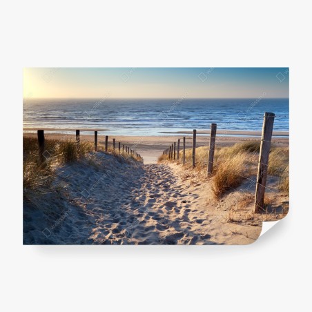 Fotomural sendero dorado hacia el mar, Holanda – Pixers®
