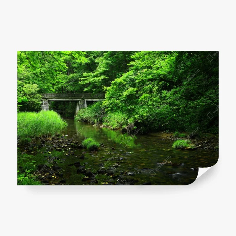 Fotomural refugio verde junto al puente