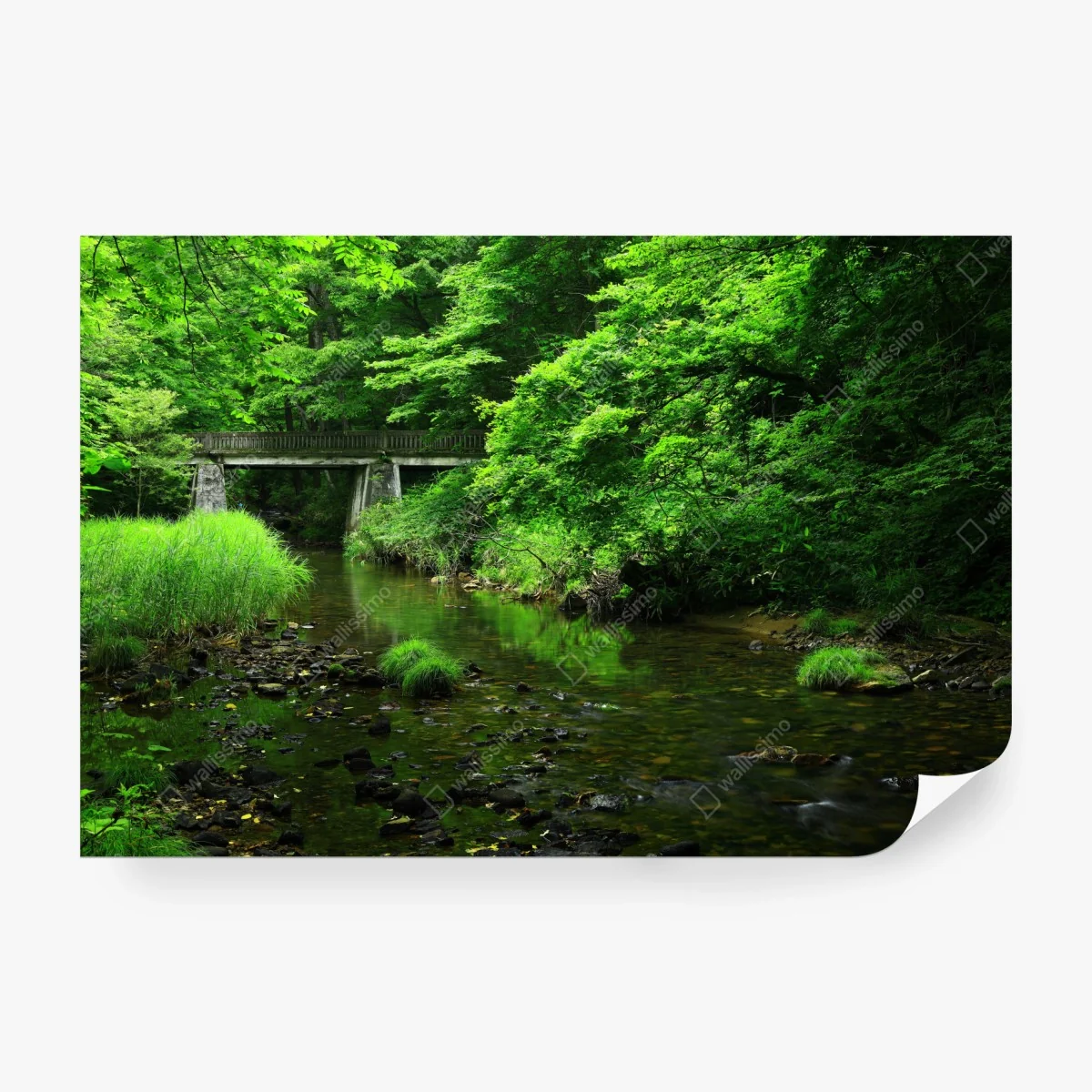 Fotomural refugio verde junto al puente – Pixers® Fotomural refugio verde junto al puente – Pixers®