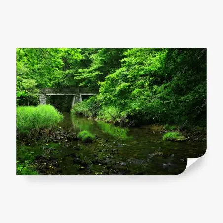 Fotomural refugio verde junto al puente – Pixers®