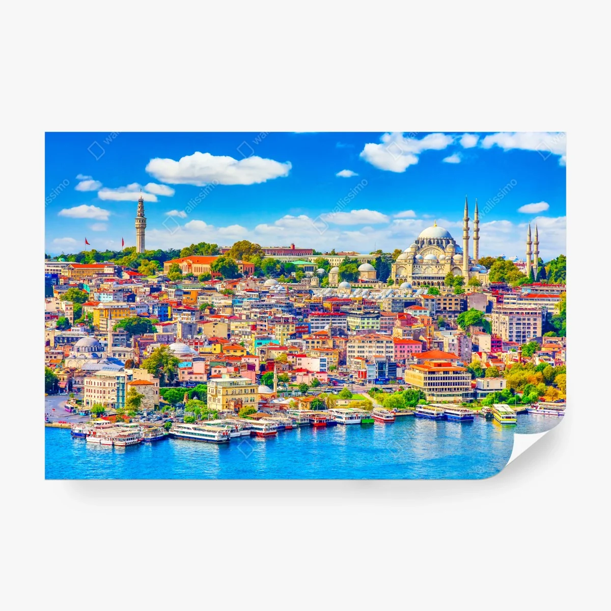 Fotomural panorama colorido de Estambul en el Bósforo – Pixers® Fotomural panorama colorido de Estambul en el Bósforo – Pixers®
