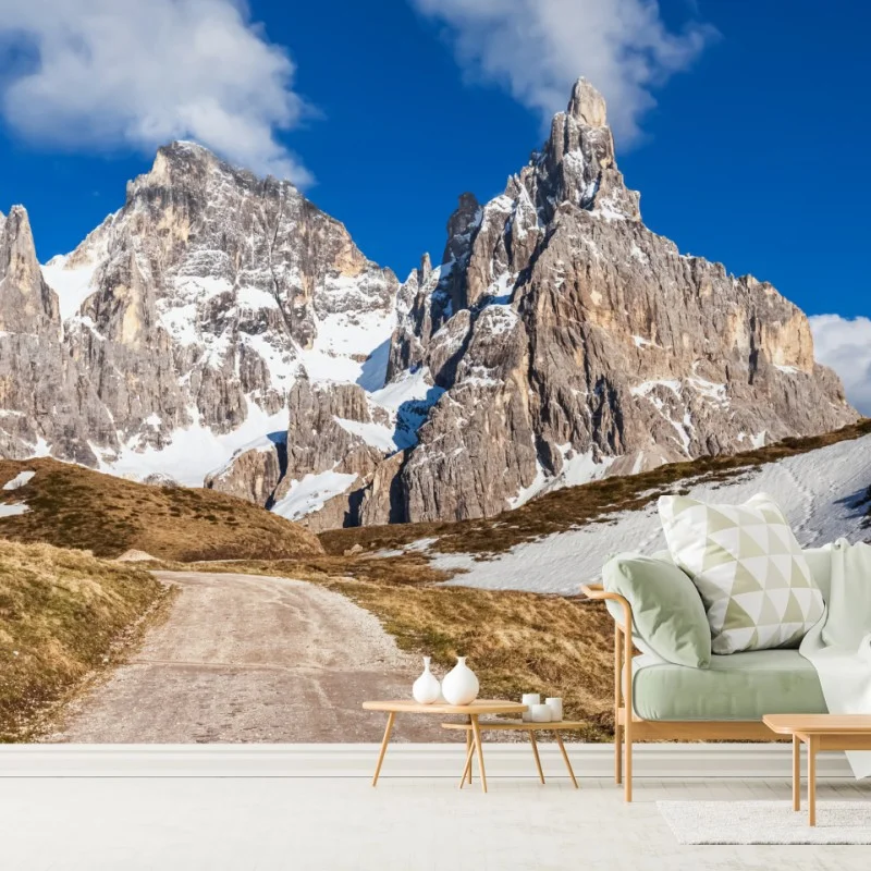 Fotomural camino hacia picos nevados