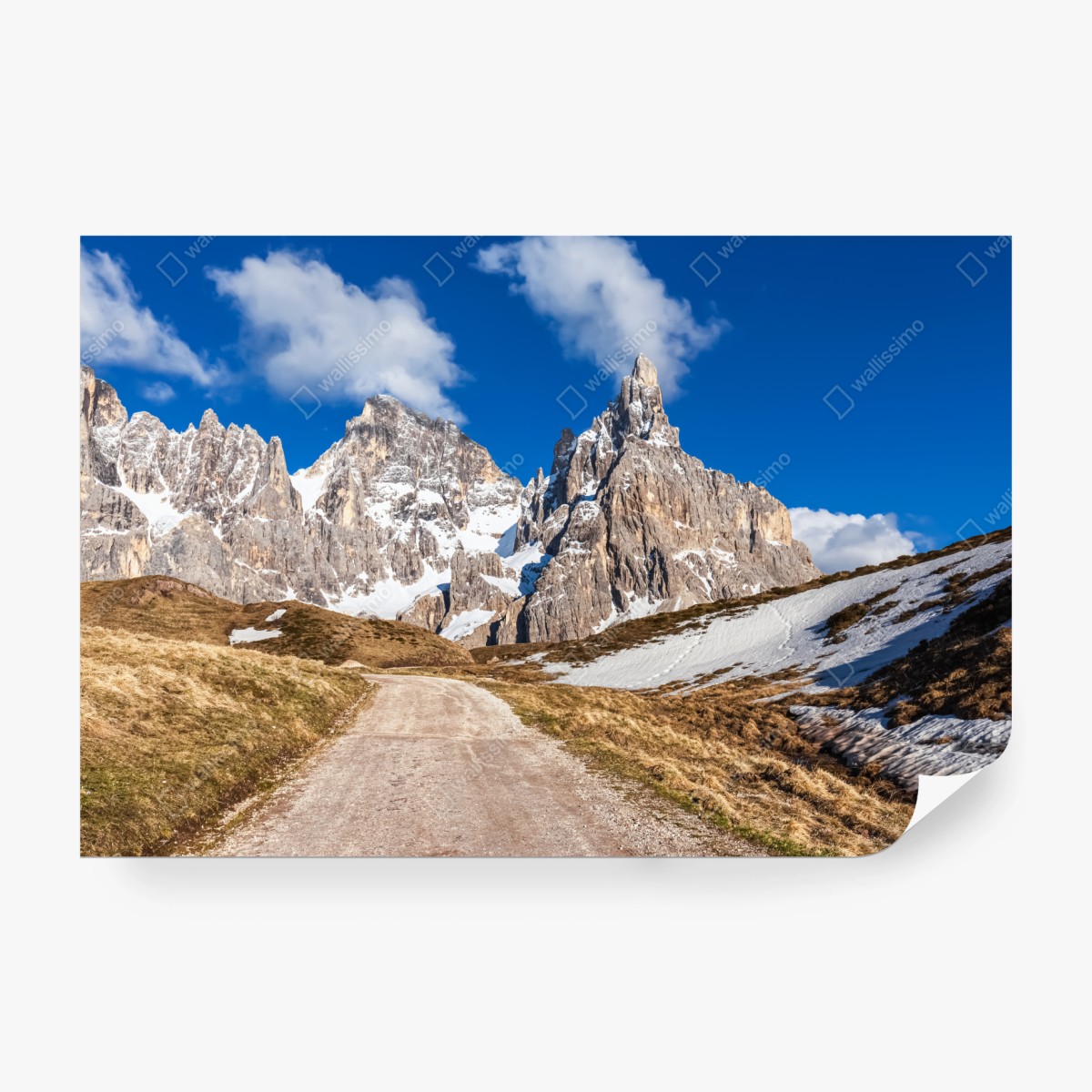 Fotomural camino hacia picos nevados – Pixers®