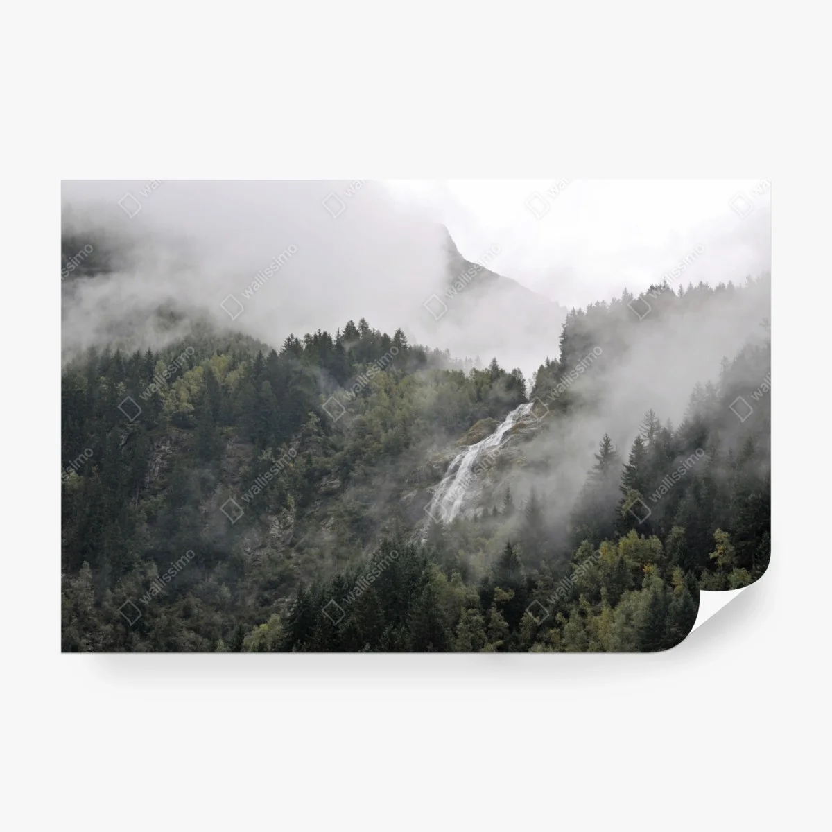 Fotomural cascada entre niebla en el bosque montañoso – Pixers® Fotomural cascada entre niebla en el bosque montañoso – Pixers®